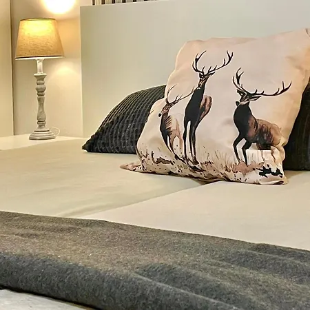 Fitnest, Im Harz, Sauna, Beim Ravensberg דירה באד סקסה