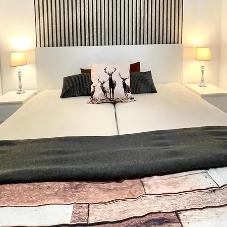 Fitnest, Im Harz, Sauna, Beim Ravensberg באד סקסה