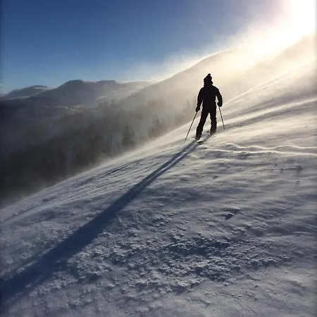 Fitnest, Im Harz, Sauna, Beim Ravensberg * באד סקסה