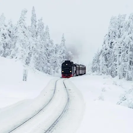 Fitnest, Im Harz, Sauna, Beim Ravensberg Appartamento
